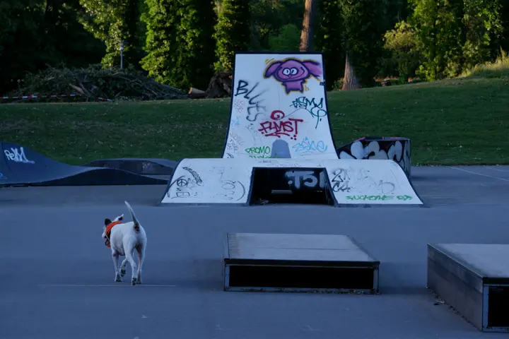 20260607_212651.webp