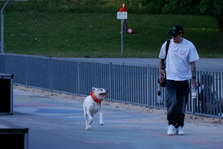 20260607_212902.webp